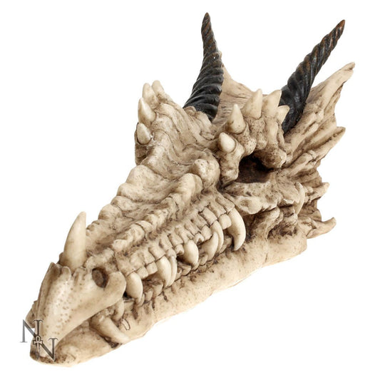 Draco Dragon Skull Incense Holder 24cm