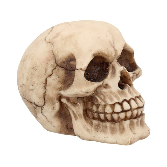 Joker Skull Ornament 12cm