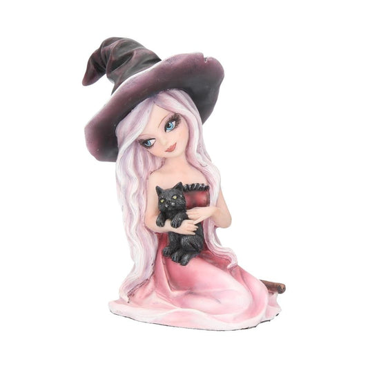 Rosa Figurine Witch Black Cat Ornament