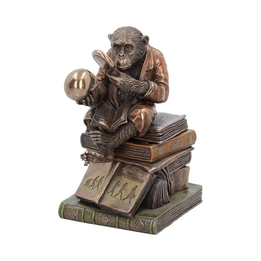 Darwinism of Evolutionary Theory Figurine Charles Darwin Chimpanzee Ornament