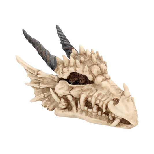 Fantasy Gothic Dragon Skull Trinket Box