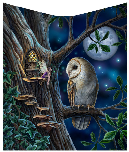 Lisa Parker Fairy Tales Owl and Fairy Blanket