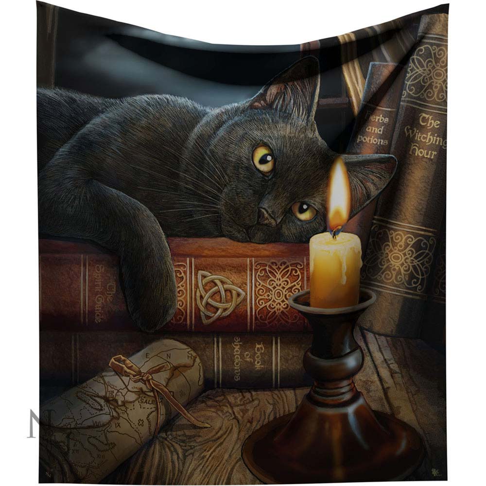 Lisa Parker Witching Hour Throw Witch Cat Blanket