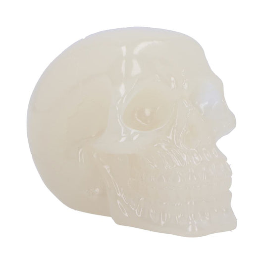 Phosphorescent Skull Head 10.5cm