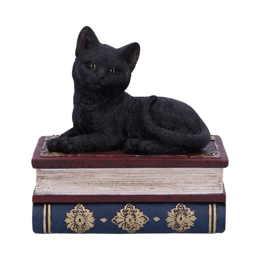 Salems Spells Witches Familiar Black Cat and Spellbook Box