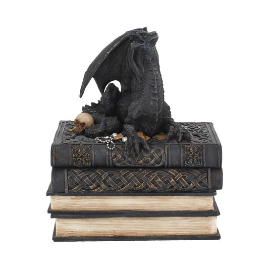 Secrets of the Dragon Box Gothic Skull Books Trinket Box