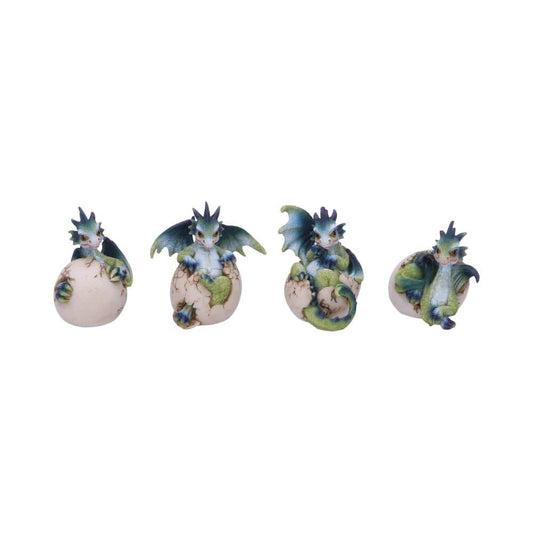 Set of Four Hatchlings Emergence Dragonling Hatching from Egg Figurine