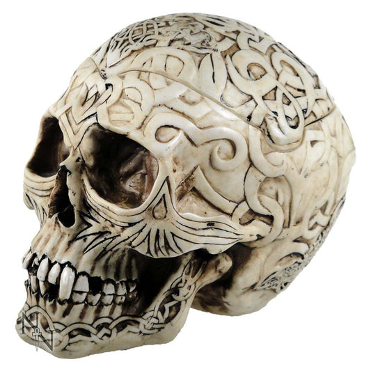 Skull Box Engraved With Celtic Patterns 20cm