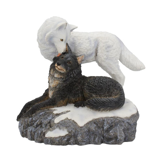 Snow Kisses Wolf Figurine by Lisa Parker 20.5cm