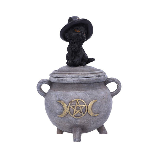 Witch Cat Cauldron Box 14cm