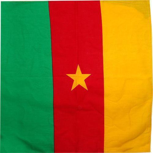 Cameroon Flag Bandana Bandanna Hat Hair Head Band Scarf Gym Exercise Football