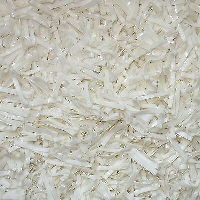 Small White Hair Elastic Bands Bobbles Girls Kids Elastics Head Band Scrunchies